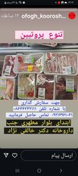 فروش انواع پروتئین‌های بسته‌بندی شده با تنوع بالا و آدرس دقیق در بلوار مطهری، تماس بگیرید! 🥩📞